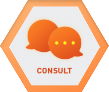 Consult